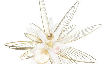 Technology & Science