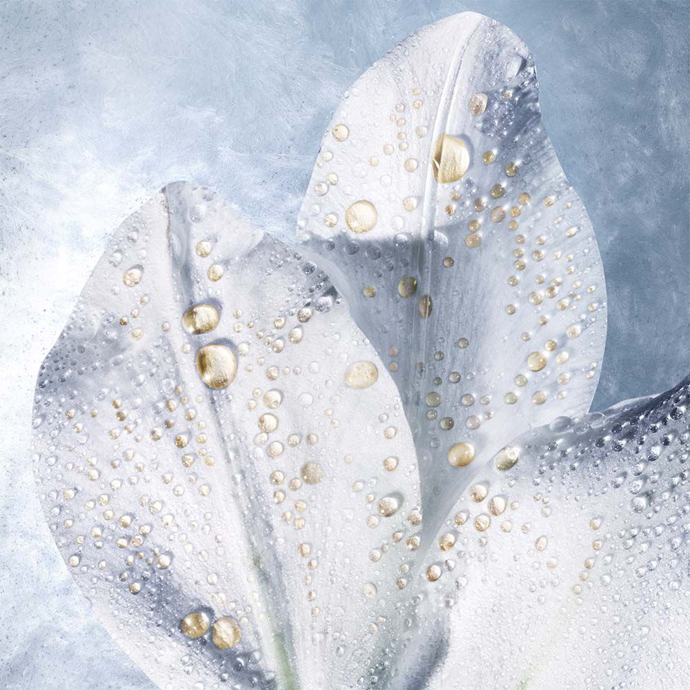 Technology & Science