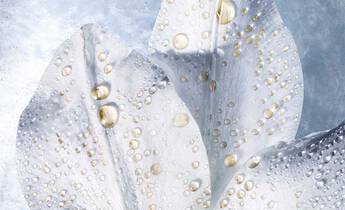 Technology & Science