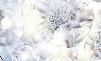 Technology & Science