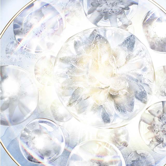 Technology & Science