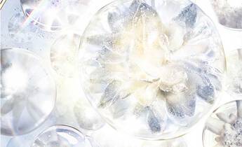 Technology & Science