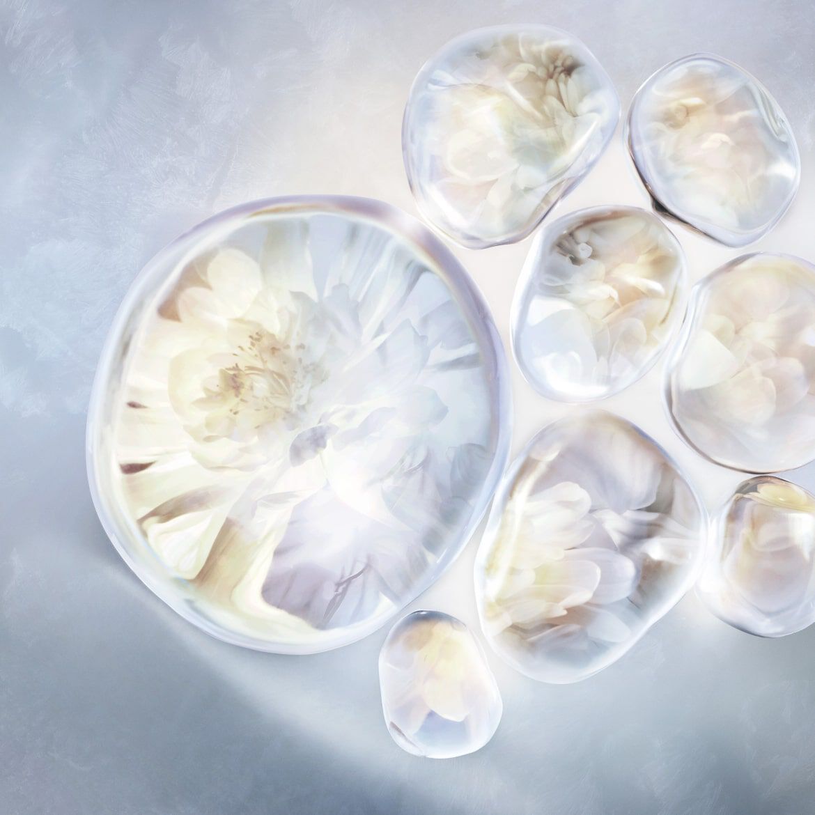 Product Content 2 image