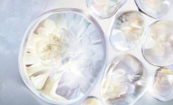 Product Content 2 image