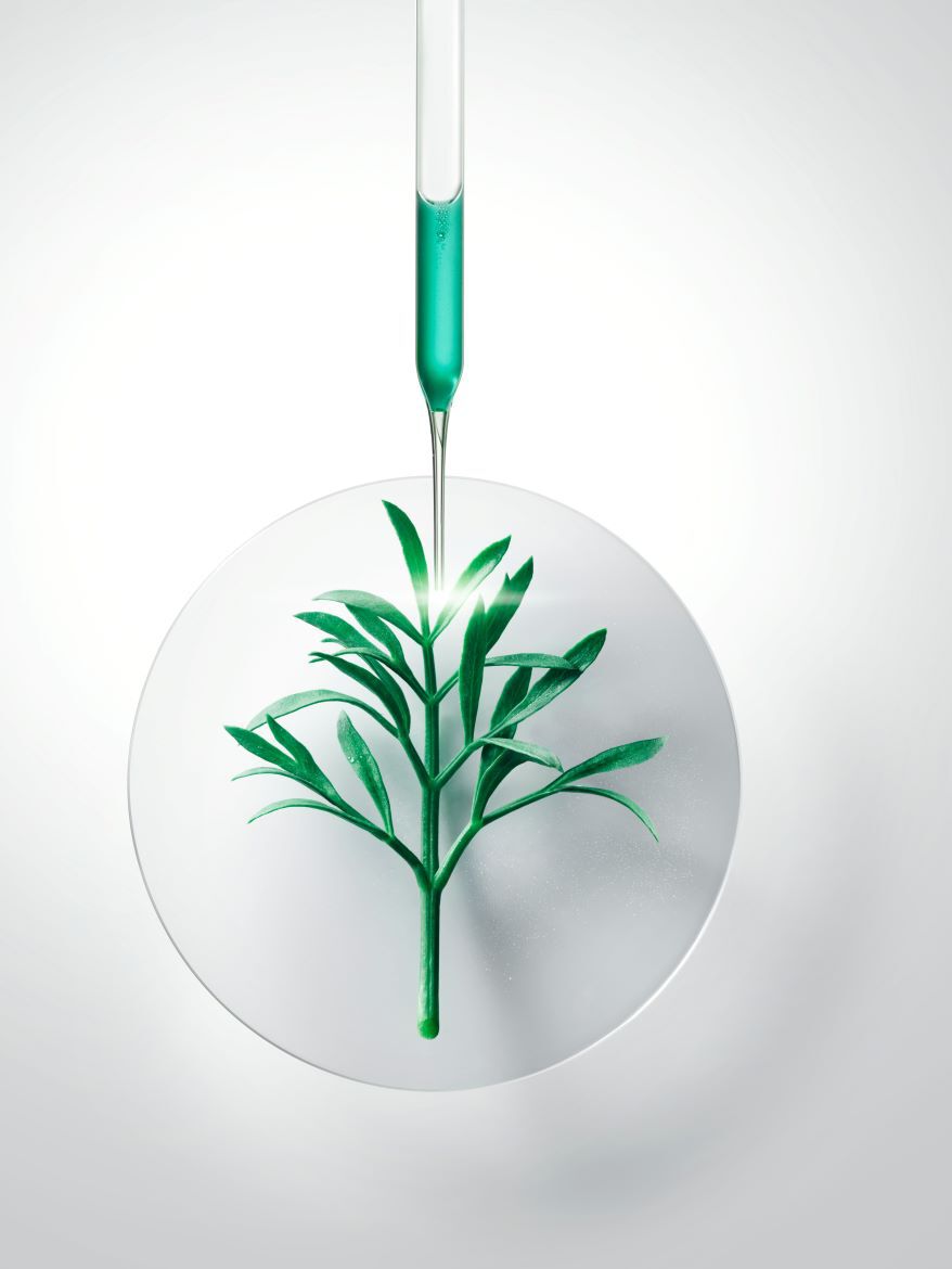 Product Content 1 image