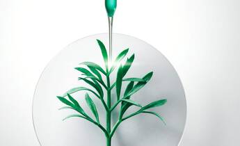 Product Content 1 image