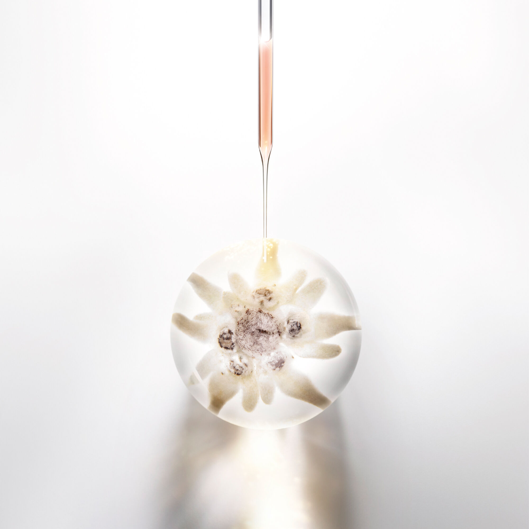 Prodigy Cellglow Cure